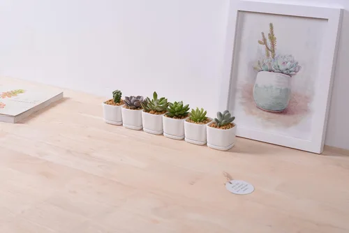 Vista 4 de Sea Star - Maceta moderna rectangular minimalista de cerámica blanca de 10 pulgadas para plantas suculentas para oficinas, escritorios, ventanas