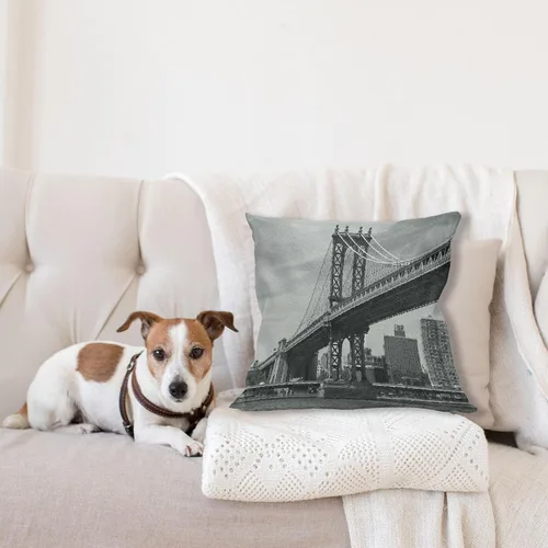 Vista 4 de Ambesonne New York - Funda de cojín, diseño de puente de Nueva York, imagen vintage de East River de Estados Unidos, impresión fotográfica