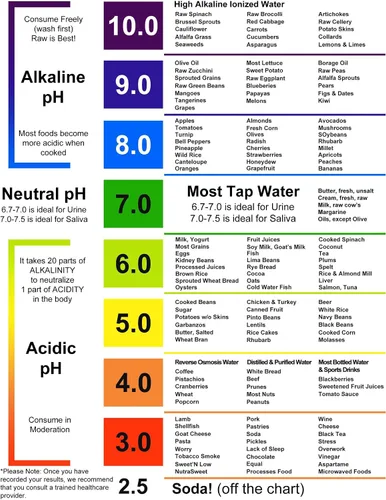 Vista 7 de Just Fitter Tiras de prueba de pH para probar los niveles alcalinos y ácidos en el cuerpo. Monitorea y controla tu nivel de pH con saliva y orina.