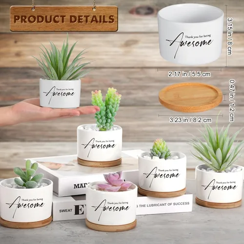 Vista 2 de Paquete de 12 mini macetas de cerámica con bandeja de bambú para decoración de escritorio para empleados, enfermeras, oficina, equipo, decoración