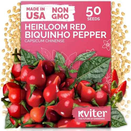 Vista 20 de KVITER 50 semillas de calabaza de azúcar orgánicas (Cucurbita Pepo) – Semilla de calabaza pequeña reliquia, carne dulce de grano fino para enlatar