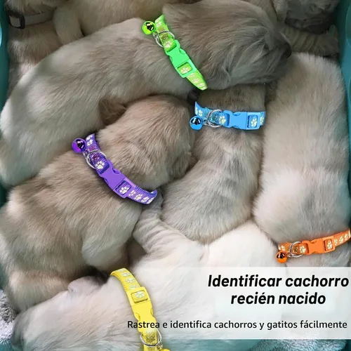 Vista 7 de GAMUDA 12 collares reflectantes para identificación de cachorros, juego de nailon suave, bandas de arena con hebilla ajustable con 2 gráficos