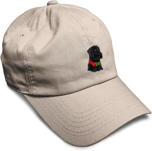 Vista 38 de Gorra de béisbol suave negra con cabeza de laboratorio bordada para perros, sarga de laboratorio negra, de algodón, con mosca de dragón, sombreros