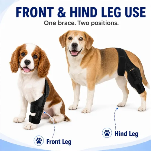 Vista 10 de Dog Knee Brace for Torn ACL/CCL, Hind Leg Support for Dogs (L)