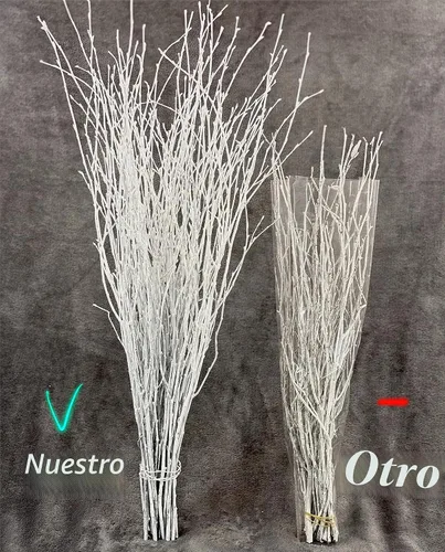 Vista 8 de ECOVENIK 25 piezas - Ramas - 28.7 in, ramitas de abedul natural, paquete de 20-25 tallos, largo para jarrones de suelo, (blanco y gris)