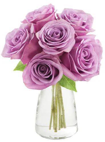 Vista 67 de KaBloom - Rosas arcoíris (media docena)- Flores frescas para cumpleaños, San Valentín y Día de la Madre