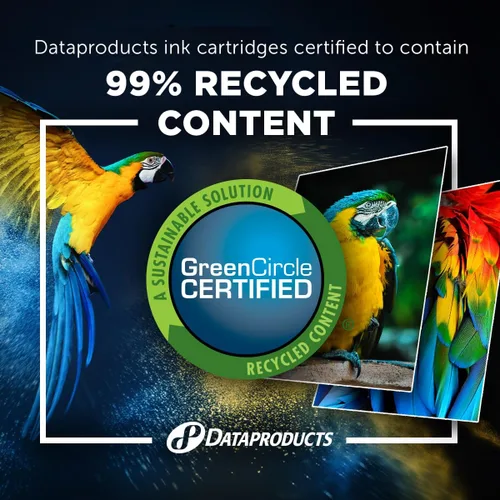 Vista 4 de Dataproducts Cartuchos de inyección de tinta remanufacturados DPCPG245XL para tinta Canon PG-245 Negro