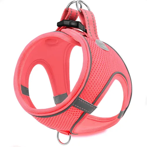 Vista 13 de Joytale Arnés para Perros Pequeños, Chaleco de Malla Transpirable Step-in, Arneses Acolchados Suaves Reflectantes para Gatos y Perros Cachorros