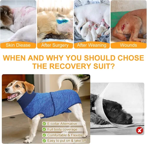 Vista 2 de BEAUTYZOO Traje de recuperación para perros, traje de cirugía para perros, esterilización femenina, mameluco de recuperación quirúrgica para perros