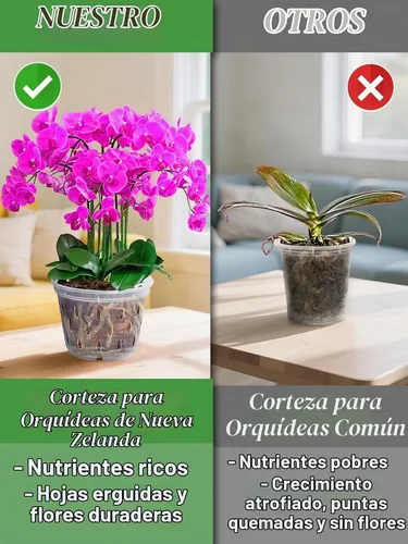 Vista 3 de Corteza de orquídea de pino de Nueva Zelanda de 8 cuartos – 1/2-3/4 pulgadas de mantillo orgánico secado al sol, medio transpirable para plantas