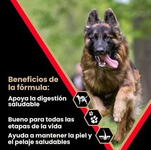 Vista 3 de VICTOR Super Premium Comida para Perros – Alimento seco para perros de alta energía para perros activos – Croquetas caninas sin gluten con proteínas