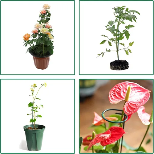 Vista 5 de PFNRTH Paquete de 4 estacas para plantas, estacas de soporte para plantas para dos tamaños (16 o 32 pulgadas), estacas para plantas al aire libre
