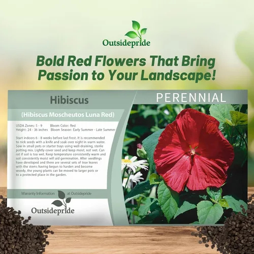 Vista 5 de Outsidepride Luna Red Hibiscus Seeds - 10 semillas de flores perennes para plantar aptas para polinizadores, flores grandes y elegantes con follaje