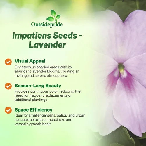 Vista 3 de Outsidepride Extreme Lavender Impatiens - Semillas de flores – 100 piezas anuales, compactas y aptas para polinizadores, semillas de Impatiens