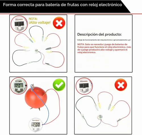 Vista 3 de EUDAX Kit de experimento científico de batería de frutas con reloj electrónico y LED RGB para equipos de enseñanza en casa, proyecto de ciencia