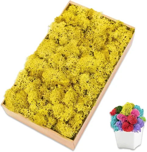 Vista 26 de Musgo de reno azul de 3.5 onzas, musgo preservado para plantas, decoración de musgo, musgo verde para manualidades, musgo para plantas en maceta