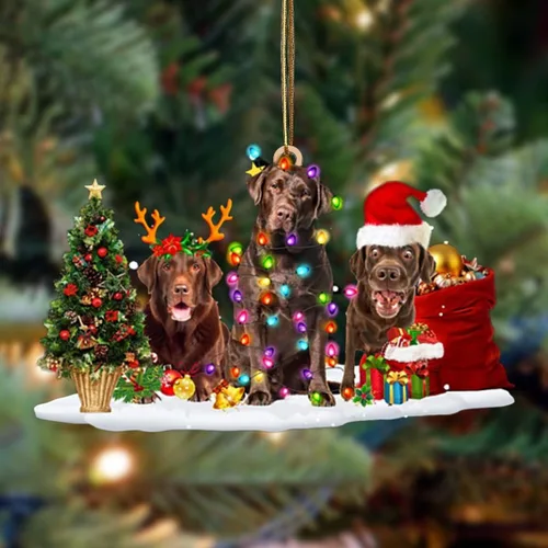 Vista 142 de Nazenti Adorno de Navidad personalizado con amigos Affenpinscher – Adorno de perro personalizado para amantes de las mascotas, acrílico plano