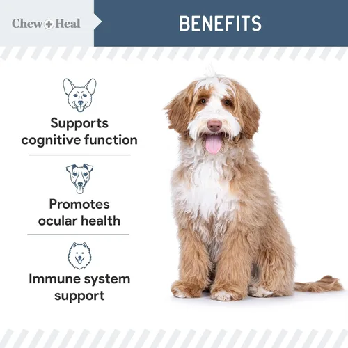Vista 5 de Suplemento de visión y cognición para perros mayores, 60 masticables para el cuidado de los ojos y la memoria Senior Dog Vision and Cognición
