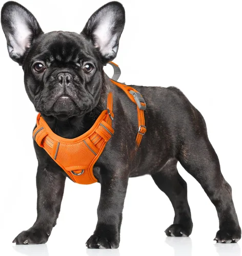Vista 52 de BARKBAY Arnés para Perro Sin Tirones Talla Grande Arnés Reflectante para Perro con Clip Frontal y Asa de Control Fácil para Caminar Entrenar Correr