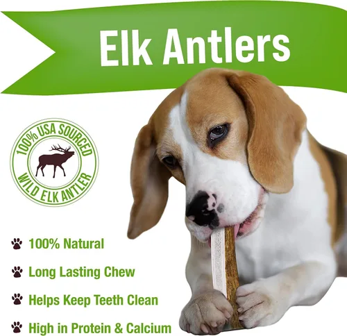 Vista 2 de Buck Bone Organics - Masticables de astas de alce para perros, duraderos, para masticadores agresivos, completamente natural, sin conservantes