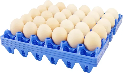 Vista 10 de Paquete de 4 cajas de plástico para huevos, 30 huevos planos, apilables, duraderas, reutilizables, color verde