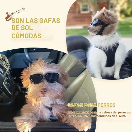 Vista 7 de Antiparras anteojos de sol para gatos o perros pequeños, Negro Negro clásico