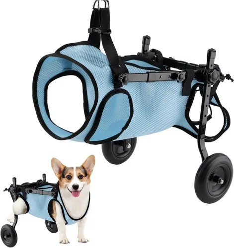 Vista 11 de Dog Wheelchair, for Back Legs, Pet/Doggie Doggy Adjustable Doggy Light Weight Dog&Cat&Pets, with Leg Brace and Hip Support, for Injured, Disabled