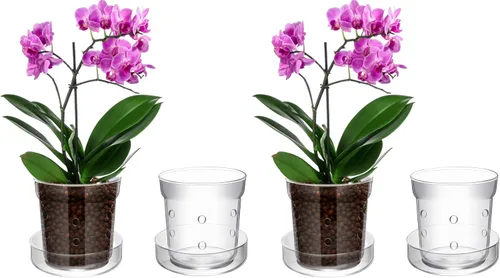 Vista 9 de Baderke Maceta de orquídeas con orificios de drenaje y bandeja de vidrio transparente para orquídeas, trasplante de flores, jarrón de vidrio