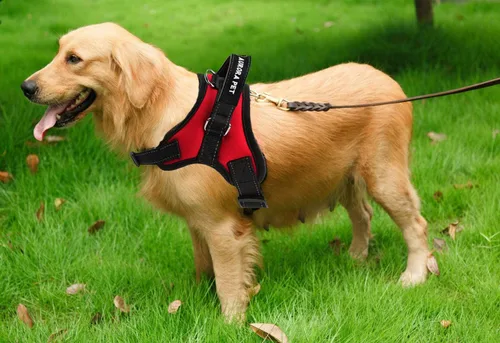 Vista 5 de Aurora Pet Arnés para perro, arnés ajustable para mascotas, chaleco reflectante 3M, asa de fácil control y dos accesorios para correa para perros