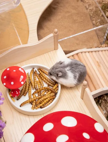 Vista 3 de Niteangel Bocadillos y golosinas para animales pequeños: gusanos secos y sin aditivos