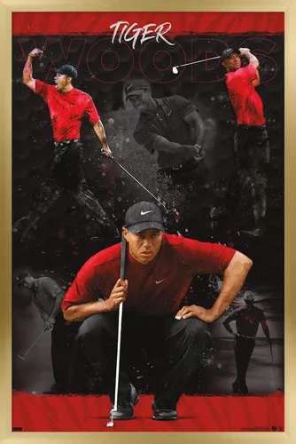 Vista 14 de Trends International Tiger Woods - Póster de pared de bosquejo, 14.725 x 22.375 pulgadas, versión enmarcada de madera de granero