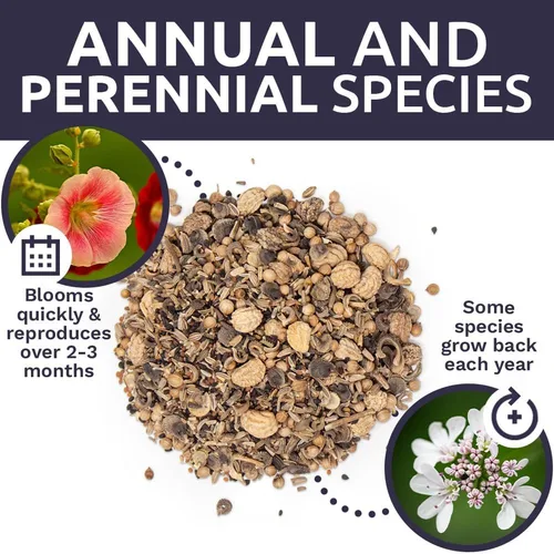 Vista 8 de Wildflower Seeds - Mezcla de flores comestibles, 1 onza más de 7,000 semillas anuales y perennes polinizadas abiertas