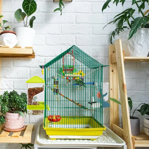 Vista 4 de Rypet Juego de dispensador de agua para pájaros sin ensuciar, alimentador automático para pájaros para jaula, contenedor de alimentos transparente