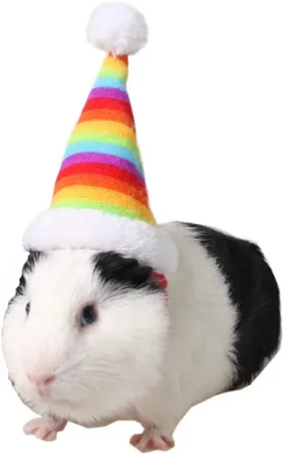 Vista 9 de ANIAC Sombreros de hámster de Navidad, disfraz de conejillo de indias, mini sombrero de Santa para gatito, chinchilla, conejo, erizo, hurón