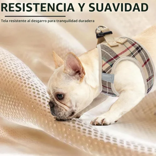 Vista 6 de PUPTECK - Arnés, collar y correa ajustables, sin tirones, para perros pequeños y medianos, cachorros y gatos, pechera reflectante acolchada de malla