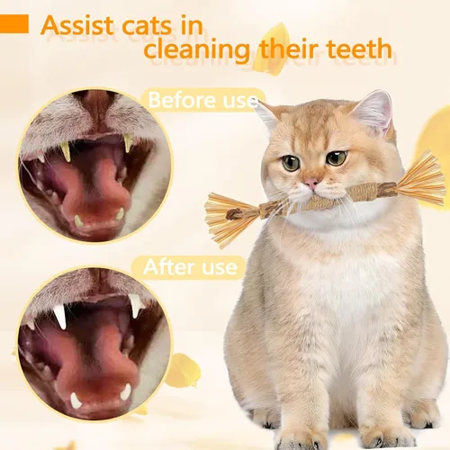 Vista 5 de Paquete de 6 palitos Silvervine para masticadores de gatos, palitos naturales para masticar gatos, juguetes interactivos para masticar, varitas