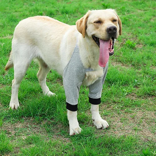 Vista 5 de Protector de codo para perro, transpirable, protector de codo para perro, almohadilla protectora ajustable para recuperación de perro, funda