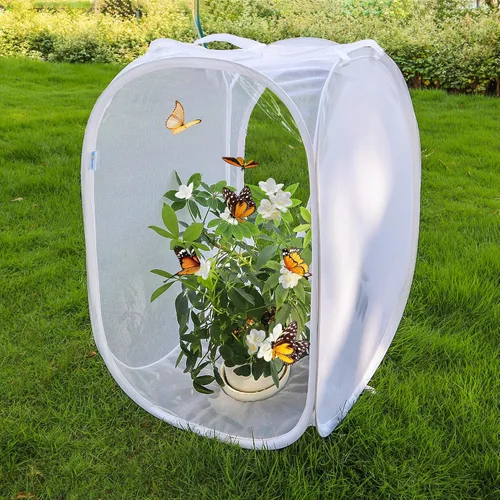 Vista 2 de Jaula desplegable para insectos y mariposas con terrario de malla transparente, 16 x 16 x 24 pulgadas