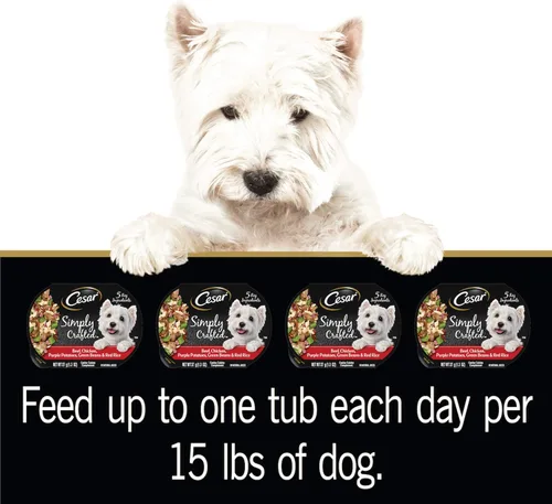 Vista 6 de Cesar, comida húmeda para perros de fabricación simple, 37 g. Empaque de 10 unidades.