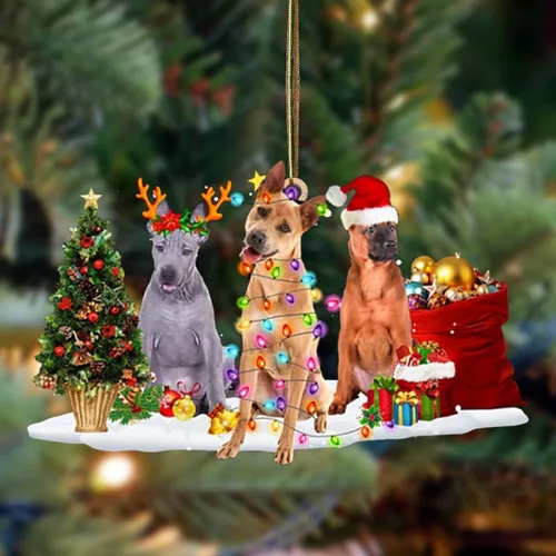 Vista 66 de Nazenti Adorno de Navidad personalizado con amigos Affenpinscher – Adorno de perro personalizado para amantes de las mascotas, acrílico plano