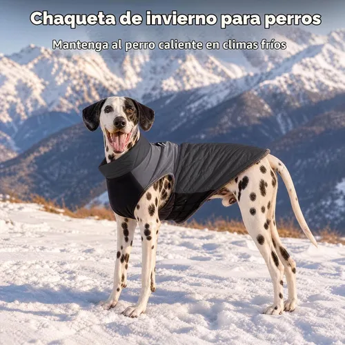 Vista 8 de JoyDaog - Abrigos de invierno para perros pequeños, chaqueta de cachorro con arnés, negro, XS Negro (estándar).