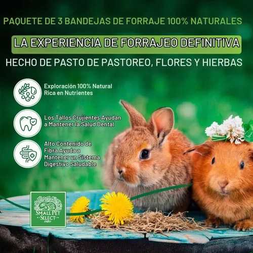 Vista 2 de Small Pet Select Paquete de bandeja de forraje, conejos y conejillos