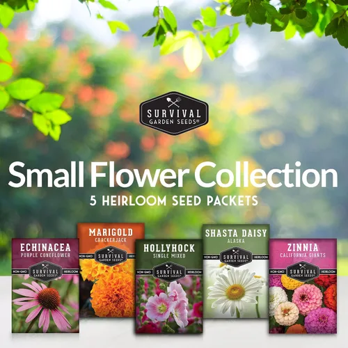 Vista 2 de Colección de 5 semillas de flores para plantar - Zinnia, caléndula, equinácea, margarita y hollyhock - Paquete de regalo de polinizador sin OMG