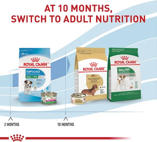Vista 6 de Royal canin Tamaño Salud Nutrición Mini cachorro seco – Comida para Perro