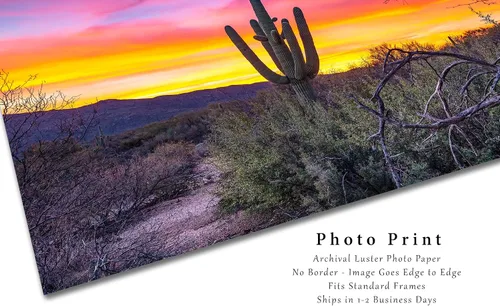 Vista 2 de Southwestern Photography Print (Not Framed) Picture of Saguaro Cactus at Sunrise in Sonoran Desert near Tucson Arizona Western Wall Art Nature Decor