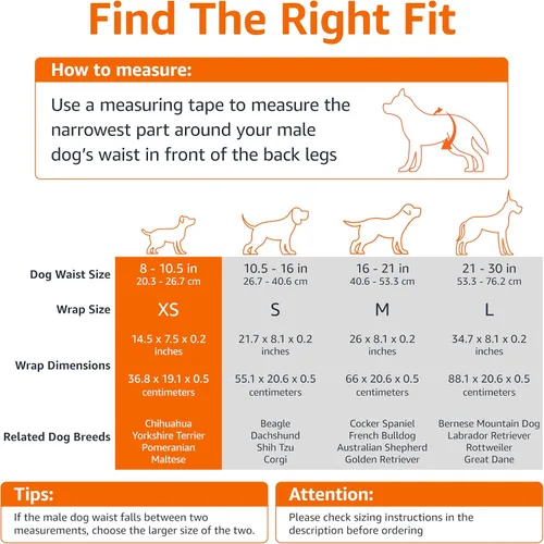 Vista 4 de Amazon Basics Pañales para perros machos, 30 unidades, XS, ultra absorbentes, desechables, con ajuste seguro, a prueba de fugas y cómodos