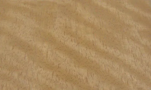 Vista 4 de Curupixa Amarillo Honeytree Gogo - Hoja de chapa de madera de 48 x 108 pulgadas con respaldo de papel