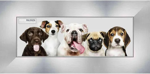 Vista 12 de Poster Palooza 5x5 Inch Contemporary Silver Complete Wood Square Picture Frame with UV Acrylic Plexiglass, Foam Board Backing & Hardware Included