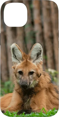 Vista 15 de Funda para iPhone 13 Pro Max Maned Wolf