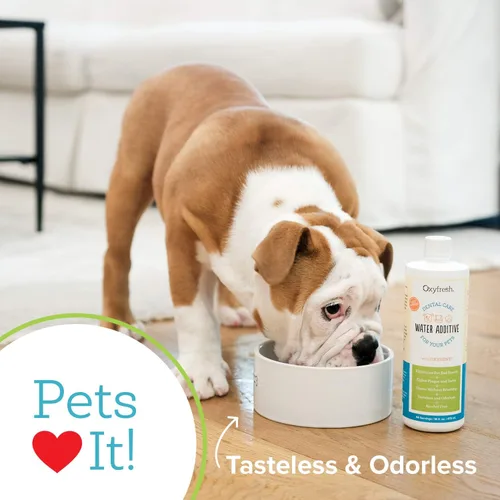 Vista 5 de Oxyfresh Premium Cuidado dental para mascota, aditivo para el agua, elimina el mal aliento, combate sarro, placa, solo tienes que añadirla al agua